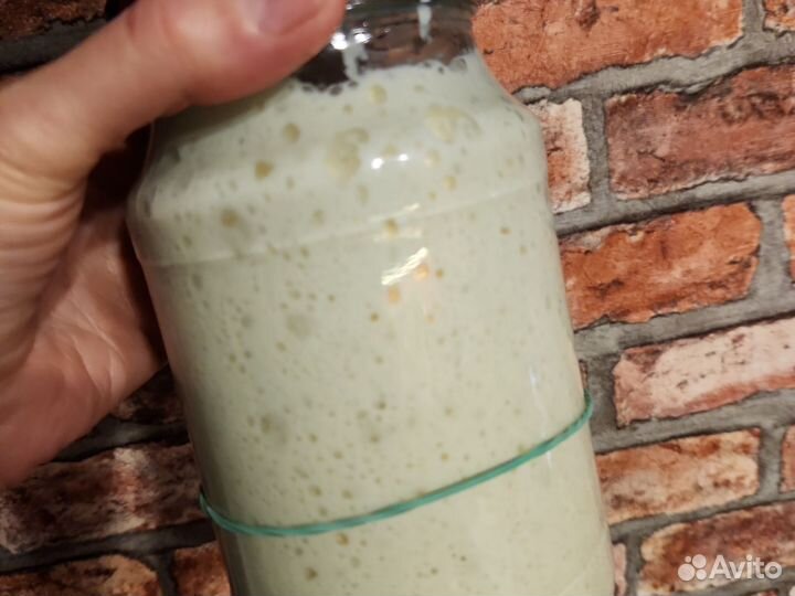 Закваска для хлеба