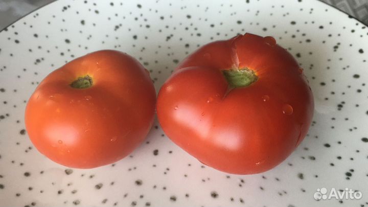 Семена томатов, и не только. Огромный выбор