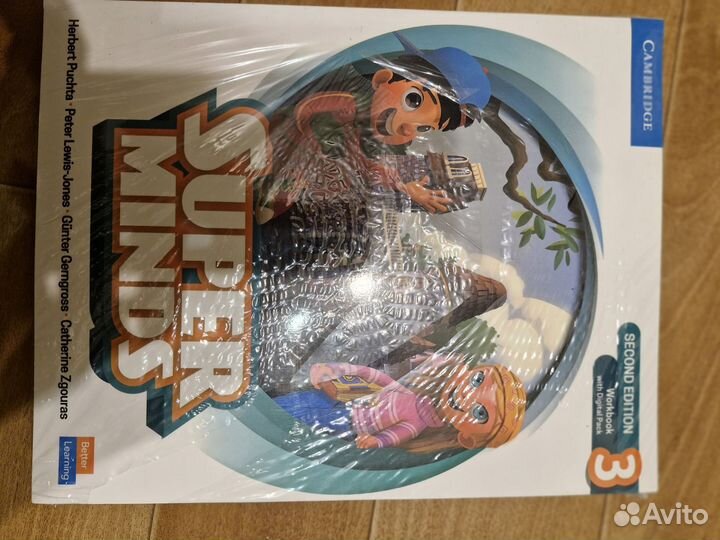 Super minds second edition