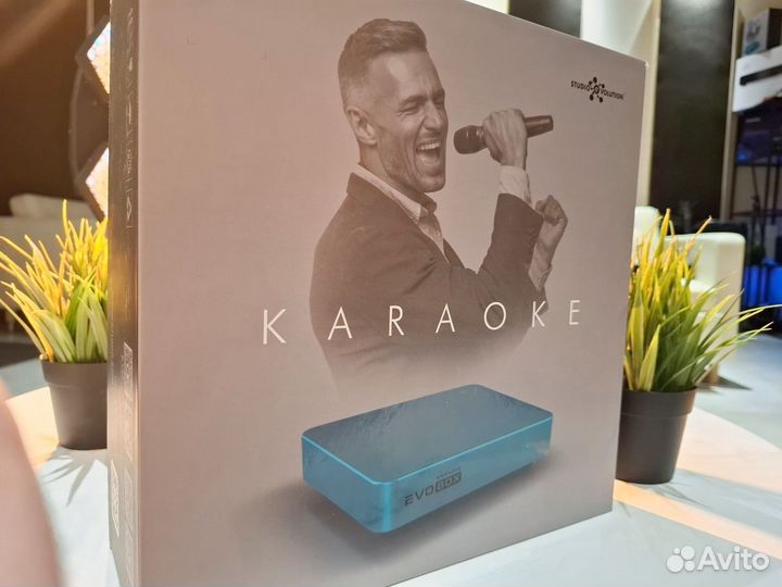 Караоке система для дома EvoBox
