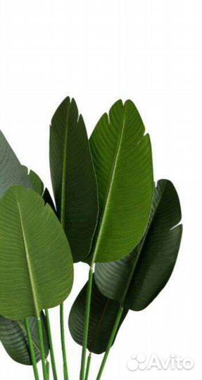 Озеленение помещений искусственными растениями