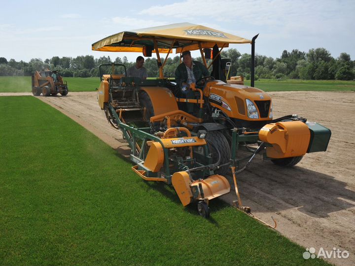 Газон рулонный