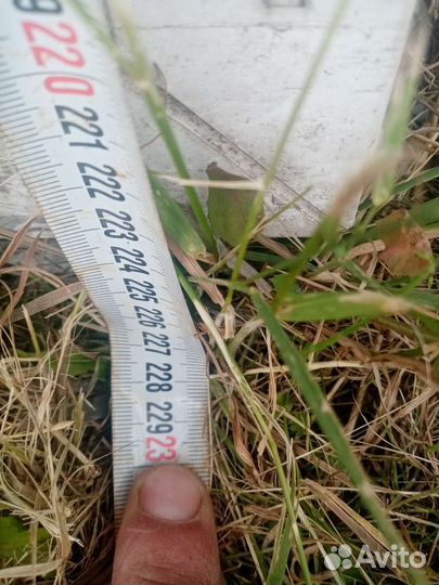 Окно большое новое