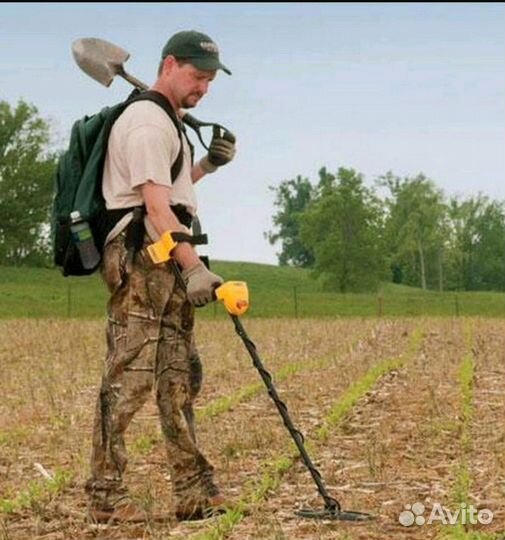 Металлоискатель в аренду