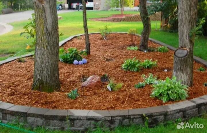 Кора сосны и щепа декоративная