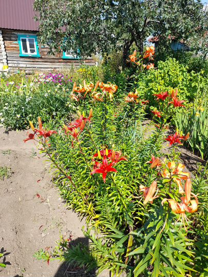 Дача 20 м² на участке 4,5 сот.