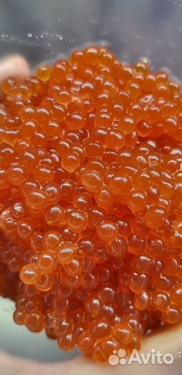 Икра красная