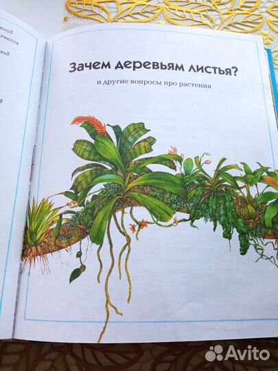 Детская познавательная энциклопедия