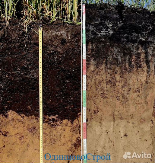 Плодородная земля