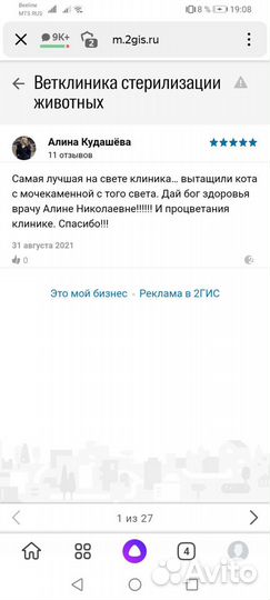 Стерилизация кошек и кастрация котов