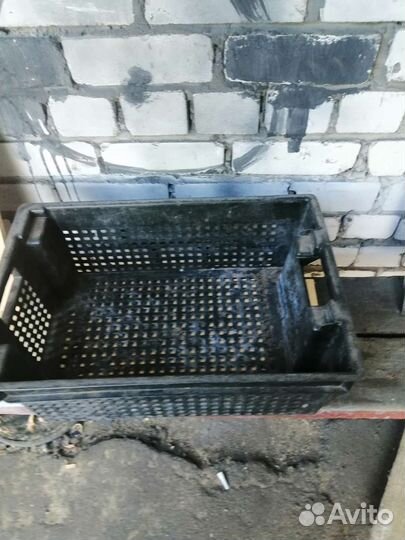 Пластиковые ящики для овощей бу