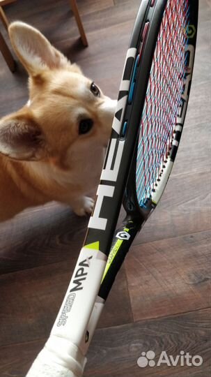 Профессиональная теннисная ракетка Head Speed MPA