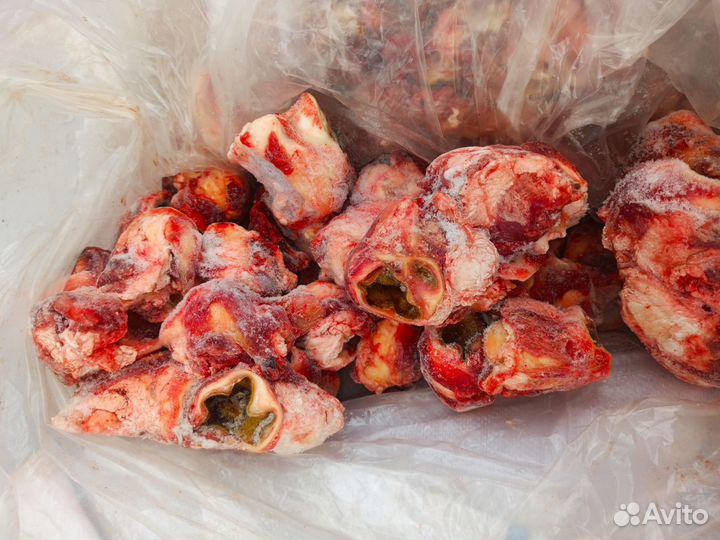 Мясо (субпродукты )для животных