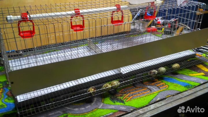 Клетки для перепелок и с/х птицы