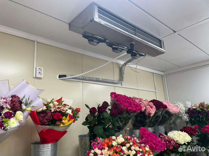 Холодильный агрегат для цветов (профессиональный)