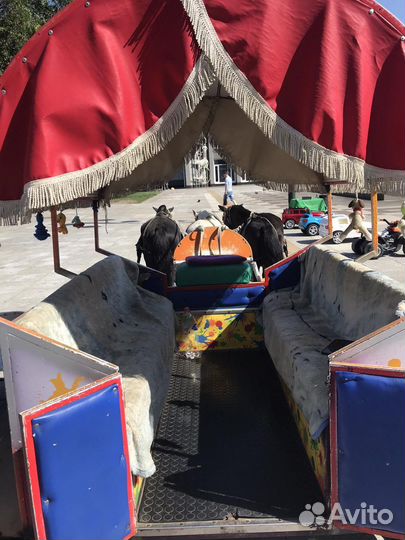 Фаэтон для пони и лошади