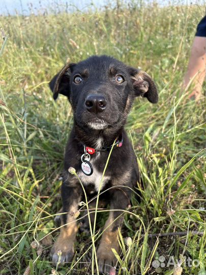 Мальчик ищет дом, семью