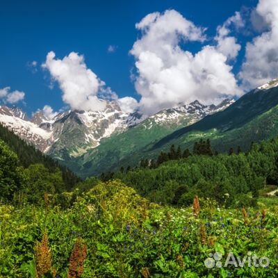 5авг24 Императорский Кавказ /рэ3007