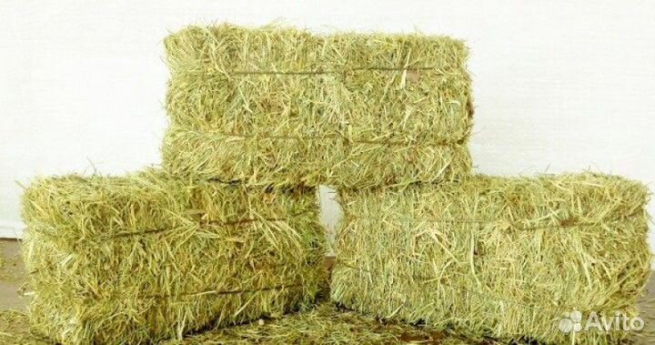 Сено