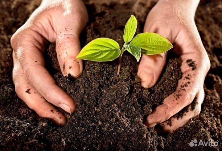 Растительный грунт