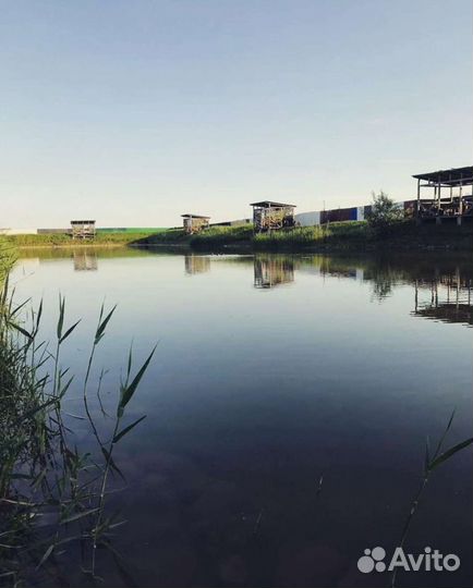 Рыбалка и отдых