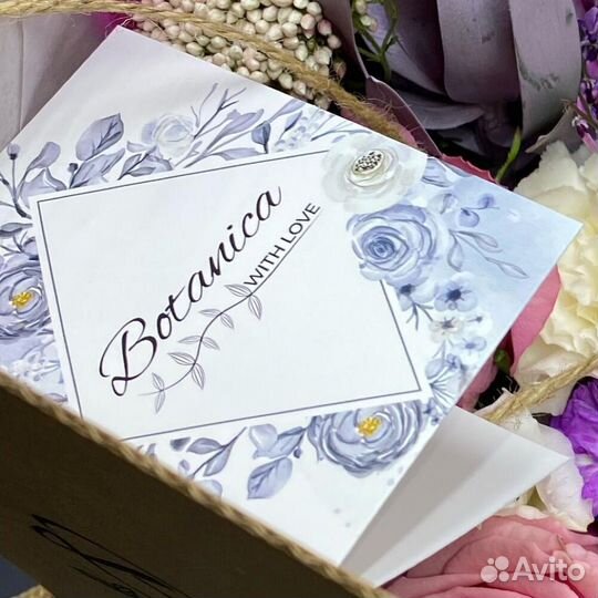 Хризантема ромашки