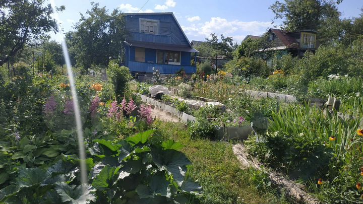 Дача 50 м² на участке 4 сот.