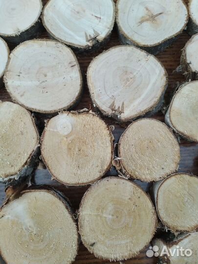 Спилы набор 100шт. разных размеров и пород дерева