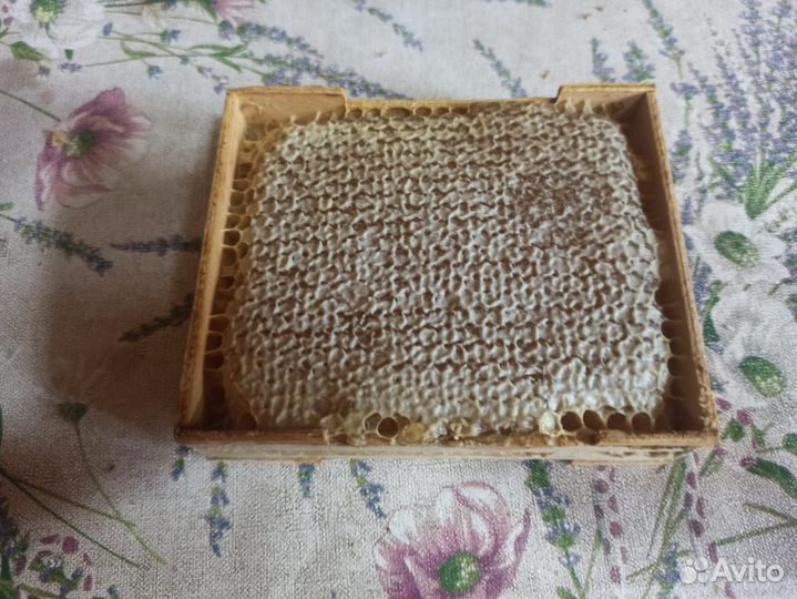 Мед цветочно-липовый, донниковый, соты в рамке