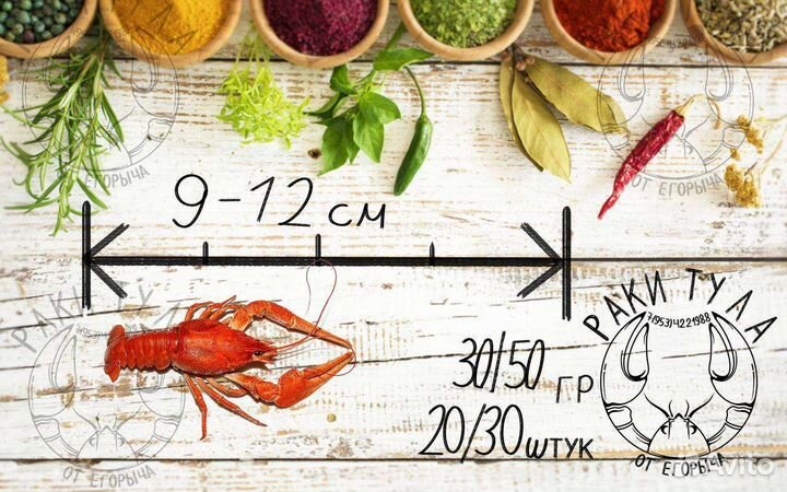 Живые раки / Готовые раки 24/7 / Раки оптом