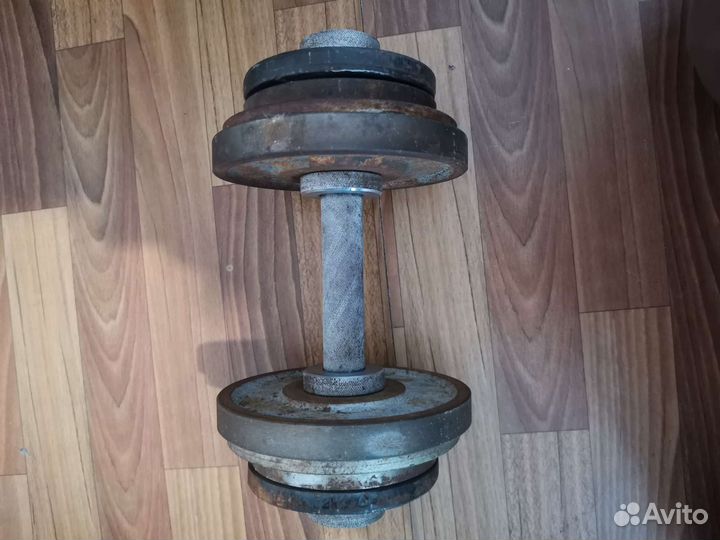 Гантеля 20кг