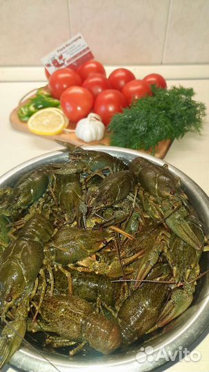 Живые/варёные/тушёные раки