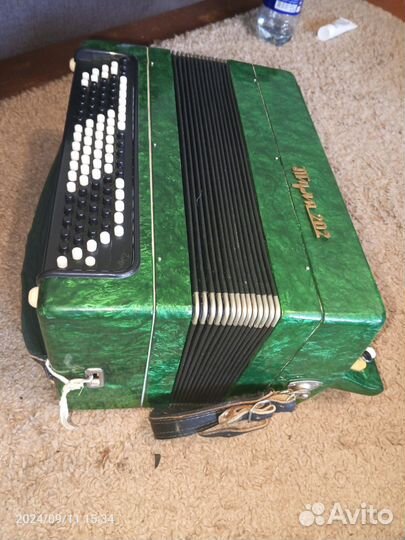 Баян Тула 202