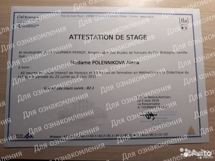 Занятия по английскому и французскому языкам