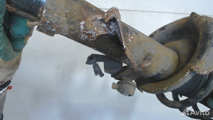 Амортизатор подвески Ford Focus 2, 2009