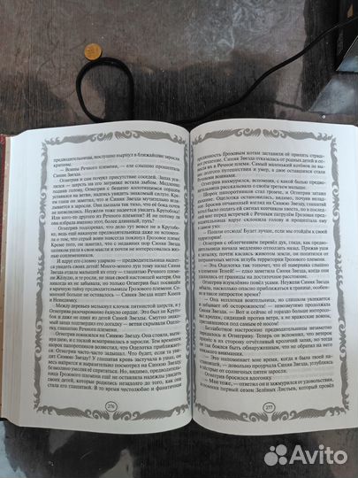 Книга коты воители