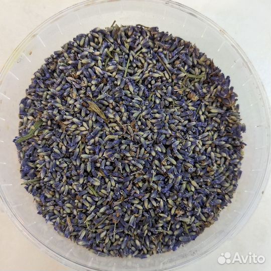 Лаванда сухоцвет
