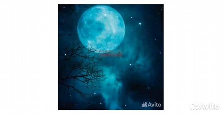 224079 Панно Pintdecor G2178 Luna azzurra