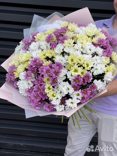 Кустовая хризантема, букет хризантем, букет цветов