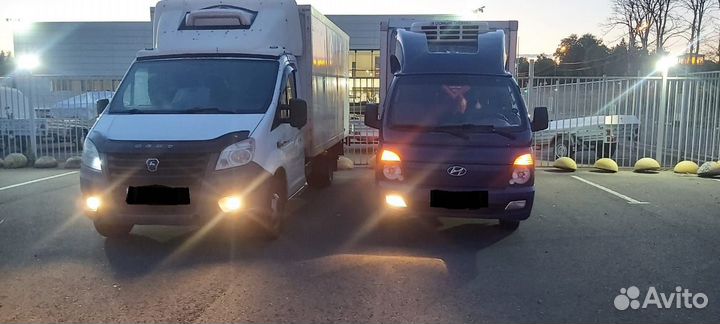 Грузоперевозки рефрижератор