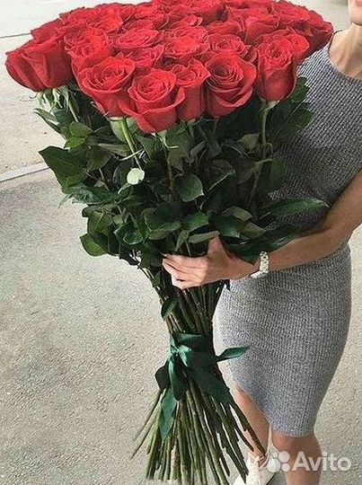 Высокие розы