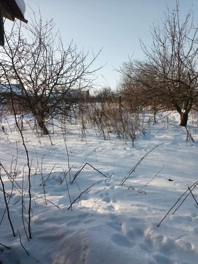 Дом 32,7 м² на участке 25 сот.