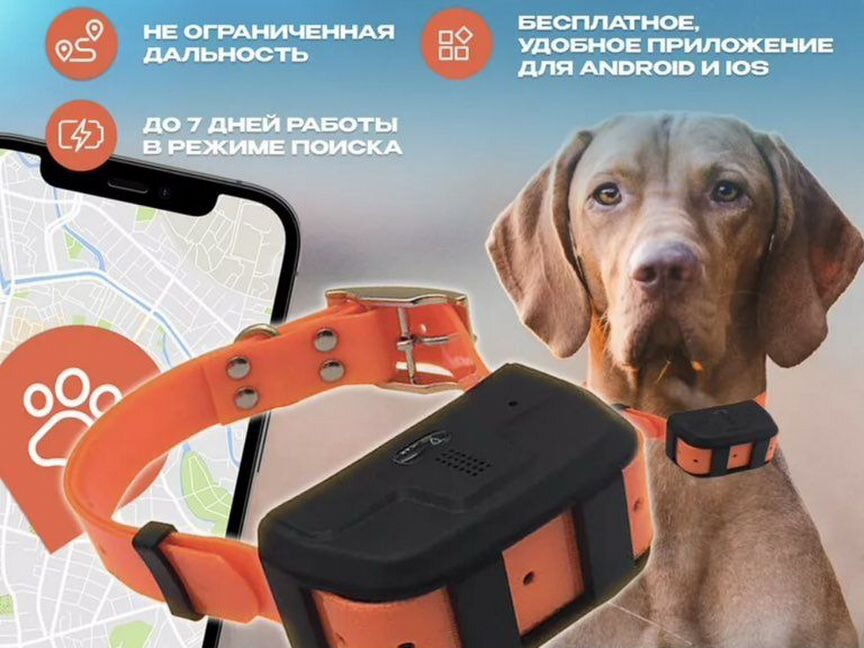 Gps ошейник