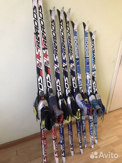 Беговые лыжи