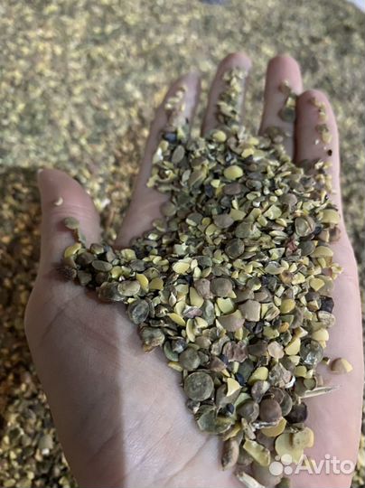 Корм для животных