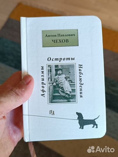 Чехов Афоризмы остроты наблюдения