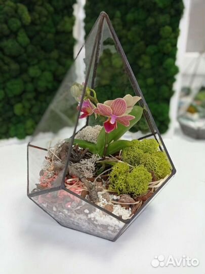 Подарки Флорариумы