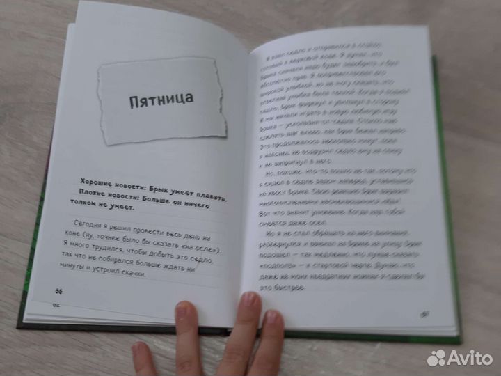 Книга дневник Стива 2