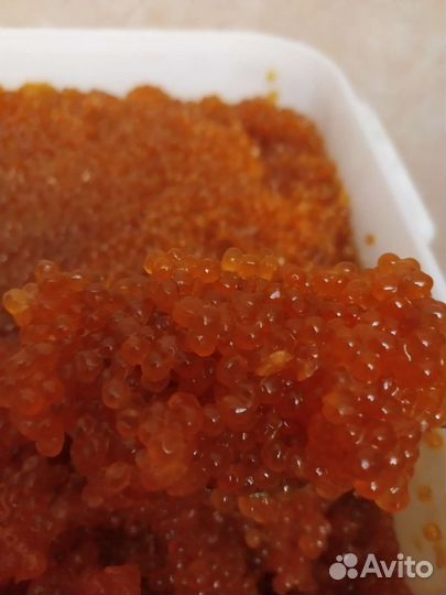 Икра горбуши этого года Владивосток