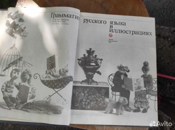 Грамматика русского языка в схемах и картинках